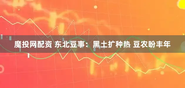 魔投网配资 东北豆事：黑土扩种热 豆农盼丰年