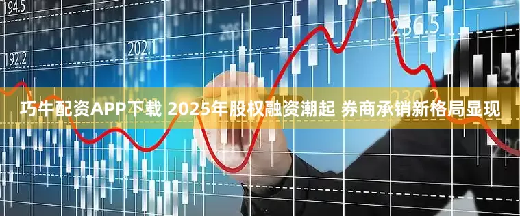 巧牛配资APP下载 2025年股权融资潮起 券商承销新格局显现