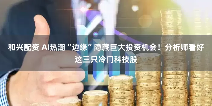和兴配资 AI热潮“边缘”隐藏巨大投资机会！分析师看好这三只冷门科技股